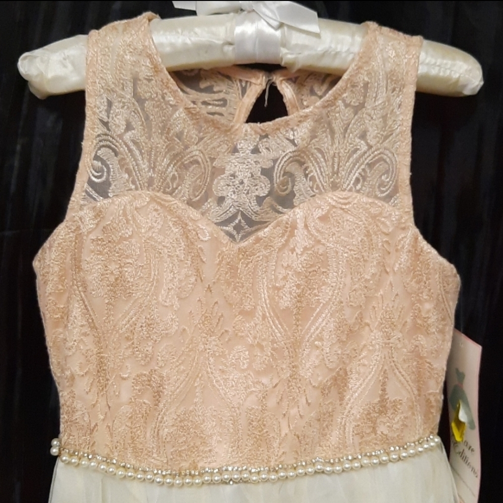Rare Editions Pink Embroidered Lace Dress - Picture 3 of 10
